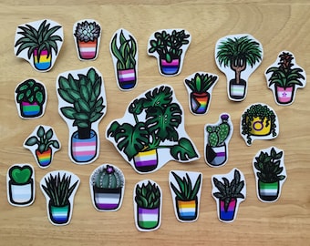 May include: A collection of 18 potted plants with different types of foliage and colorful pots. Each pot features a different pride flag design, including the rainbow, transgender, bisexual, and pansexual flags.