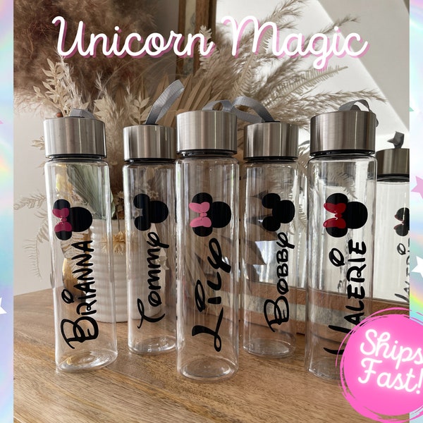 Minnie Personalized Tumbler, Mickey Tumbler, Disney Water Bottle, Disney Personalized Tumbler, Minnie Mouse, Mickey Mouse, Disney Tumbler