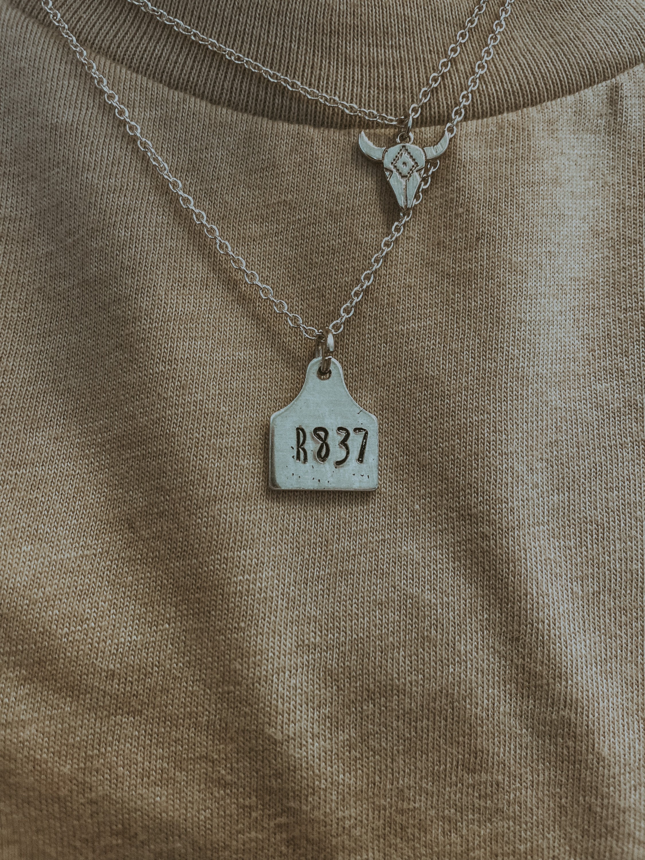 Bible Verse Cow Tag Necklace - Etsy