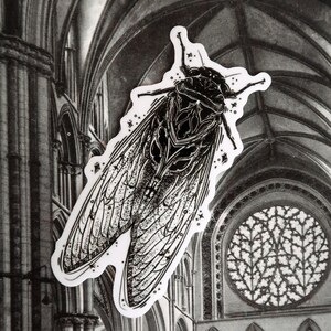May include: A black and white sticker featuring a detailed illustration of a cicada insect. The cicada has intricate wing patterns and is set against a grayscale background of an arched cathedral. The sticker has a white border.