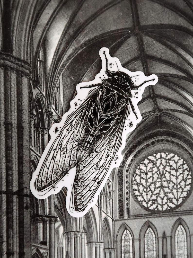 May include: A black and white sticker featuring a detailed illustration of a cicada insect. The cicada has intricate wing patterns and is set against a grayscale background of an arched cathedral. The sticker has a white border.