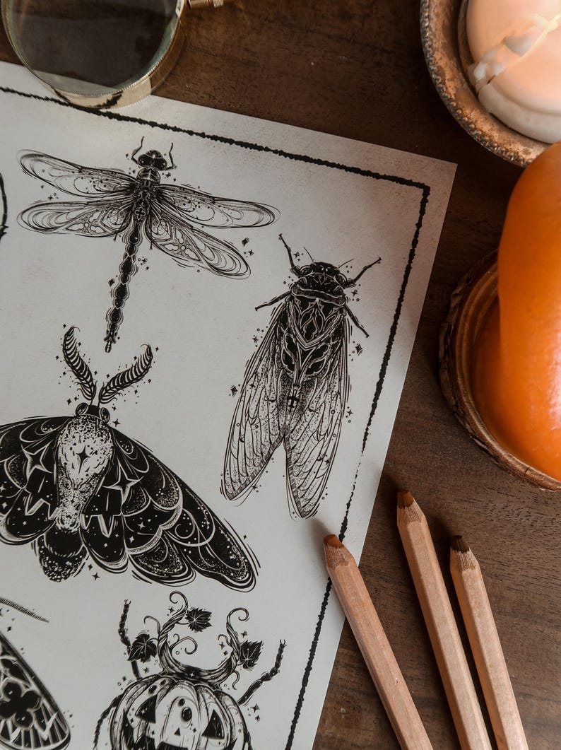 Curious Creatures A4 Print | Gothic Art | Entomology Art | Beetle ...