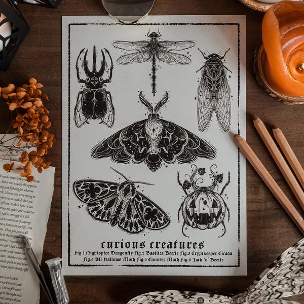 Impression A4 créatures curieuses | art gothique | art entomologique | oeuvre de scarabée | architecture gothique | oeuvre d'art effrayante | illustration d'insectes | les mites