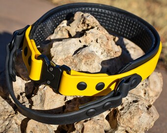 dock diving equipment