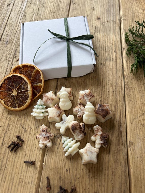 Christmas shaped Pumpkin Spice or Cinnamon orange eco soy wax melts| Pure and Natural Soy wax| Soy Wax Melts Gingerbread| Cranberry