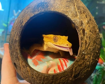coco bedding for crested geckos