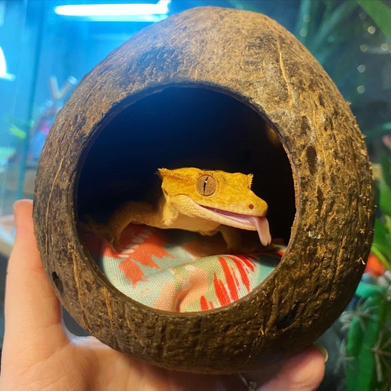 Ipetboom Coconut Hide For Reptiles - Natural Coconut Shell Hideout For Crested Geckos, Leopard Geckos & Lizards