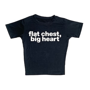 flat chest, big heart! slogan baby tee | y2k cropped graphic t shirt| 2000s era mall goth style top