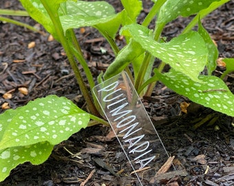 Custom Garden Markers / Clear Acrylic Plant Identification / Engraved Garden Stakes / Gift for Gardener / Garden Decor / Plant Accessories