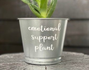 Emotional Support Plant /Silver Galvanized Metal Indoor Planter / Office Decor / Bereavement Gift / Social Worker Gift / Mental Health