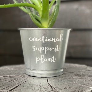 Emotional Support Plant /Silver Galvanized Metal Indoor Planter / Office Decor / Bereavement Gift / Social Worker Gift / Mental Health