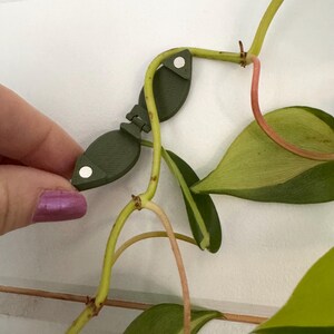 May include: Green plastic plant clips with white dots, used to support a vine plant.