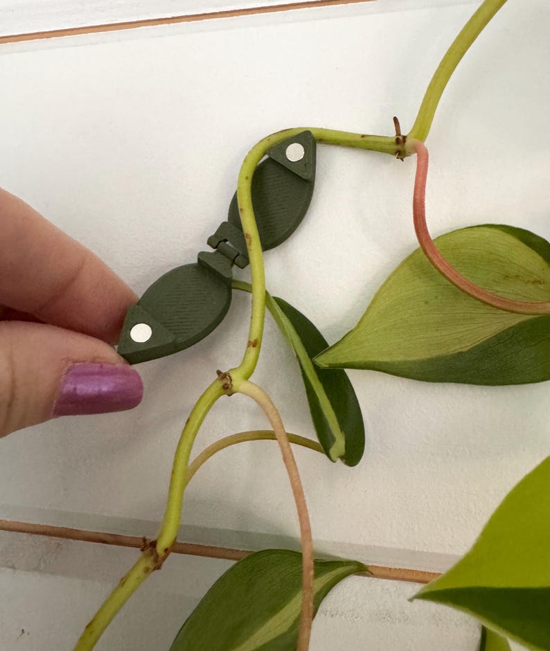 May include: Green plastic plant clips with white dots, used to support a vine plant.
