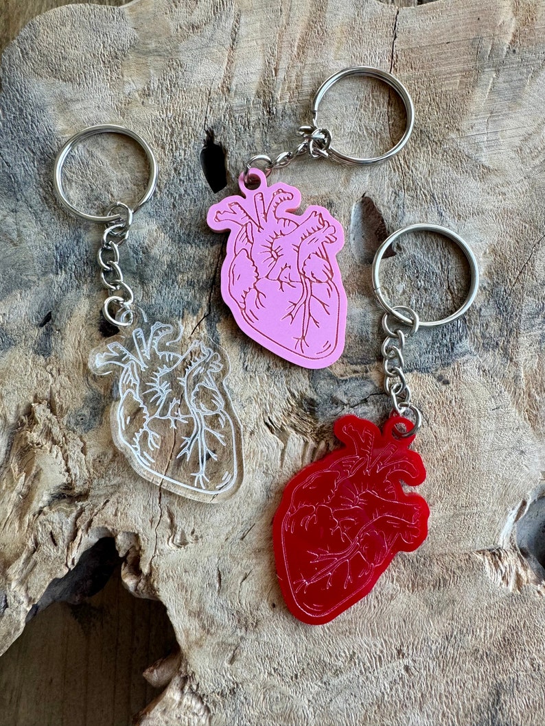Anatomical Heart Keychain / Engraved Human Heart Keychain / Acrylic ...