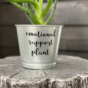 May include: A galvanized metal planter with the words "emotional support plant" in black script. The planter holds a green aloe vera plant. The planter sits on a textured, silver-painted surface.