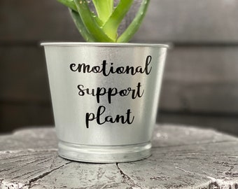 Emotional Support Plant Indoor Plant Pot / Gift for Gardener /Silver Galvanized Metal Planter / Grief and Loss / Mental Health / Bereavement