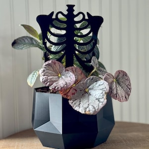 Skeleton Rib Cage Plant Trellis / Indoor Plant Stake / Vining Plant Support / Halloween Skeleton Plant Decor / Gothic Skull Plant Stake