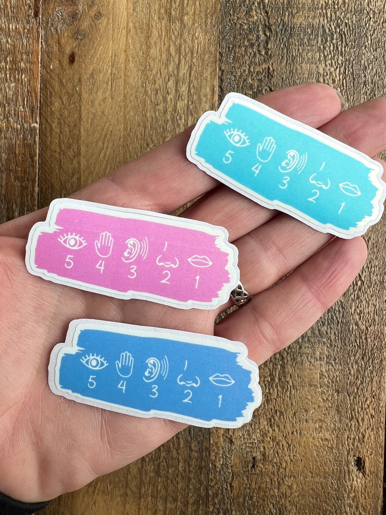 May include: Three colorful stickers with a white outline. Each sticker has five icons representing the five senses: sight, touch, hearing, smell, and taste. The icons are numbered 1 through 5. The stickers are pink, blue, and light blue.