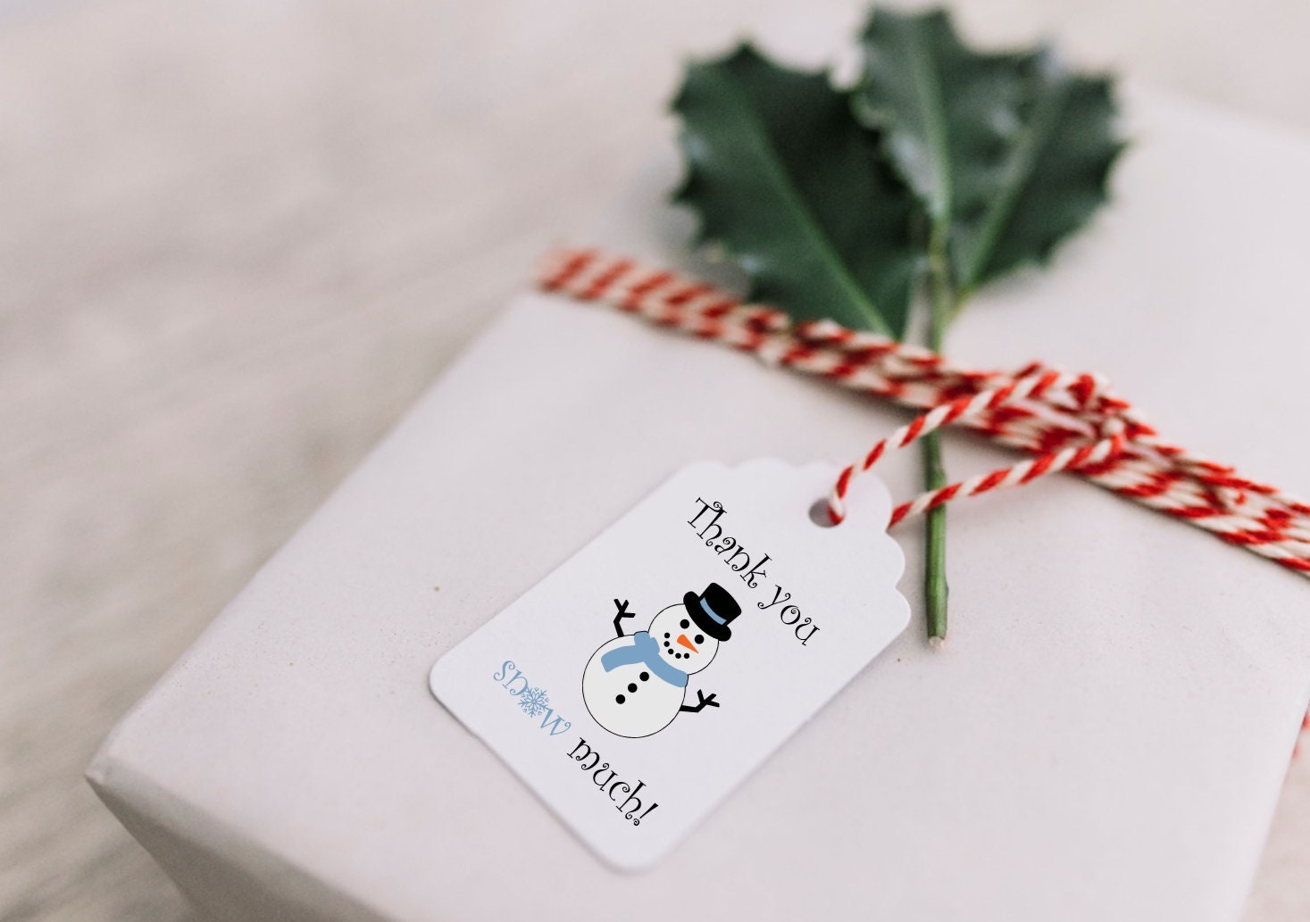 Thank You Snow Much Snowman Gift Tag / Christmas Gift Tag / Thank You ...