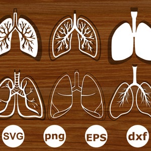 Puede incluir: Seis diseños de silueta blanca diferentes de pulmones humanos, con diferentes niveles de detalle, sobre un fondo de madera marrón. Los diseños incluyen contornos simples, estructuras internas detalladas y variaciones en la forma de los pulmones. Los diseños están etiquetados con los formatos de archivo SVG, PNG, EPS y DXF.