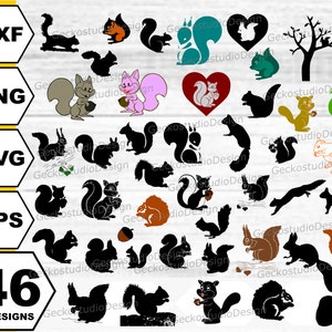 Écureuil svg . Silhouette d’écureuil. Clipart écureuil. Vecteur d’écureuil. Svg écureuil mignon . Acorn svg . Clipart gland. Svg de fichier coupé d’écureuil
