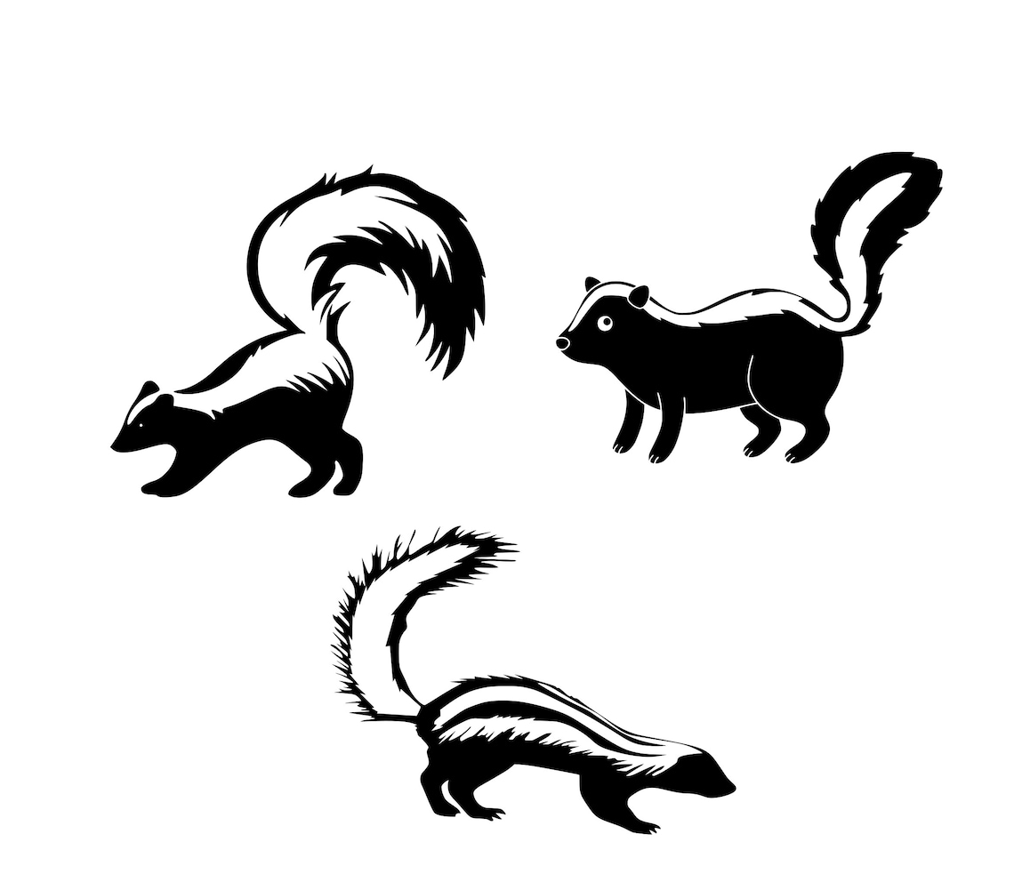 Skunk svg . Skunk Clipart . Skunk Silhouette . Skunk svg | Etsy