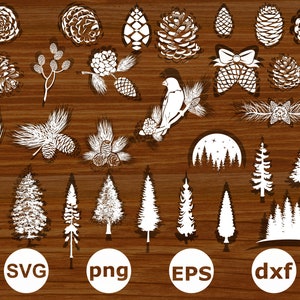 Pigne svg. Pino svg. Pino png. Pigne clipart. Siluetta di pino. Rami di pino svg. Pino svg.