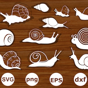 Schneckensvg. Schnecken Silhouette. Schnecken Clipart. Schneckensvg Bündel. Schneckenschnittdateien. Schnecken vektor. Schnecke PNG. Segelsvg. Schnecken svg. Tier svg