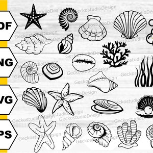 Seashell svg. sea shells svg. ocean svg. shells svg. Sea Cut files. Seashell svg bundle. Seashell silhouette. ocean clipart. Sea Star svg