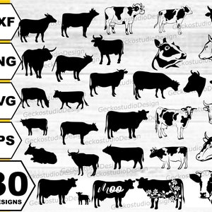 Vache svg . Faisceau de svg de vache. Silhouette de vache. Vecteur de vache. Vache Floral svg . Vache svg coupé fichier . veau. Vache maman svg . svg visage de vache . Génisse svg