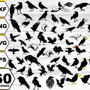 Könnte beinhalten: Eine Sammlung von 60 schwarzen Vogeldesigns, darunter Krähen und Adler, in den Formaten DXF, PNG, SVG und EPS. Die Designs sind im Silhouette-Stil gehalten, mit dem Text "60 DESIGNS" in einem gelb-schwarzen Sechseck.