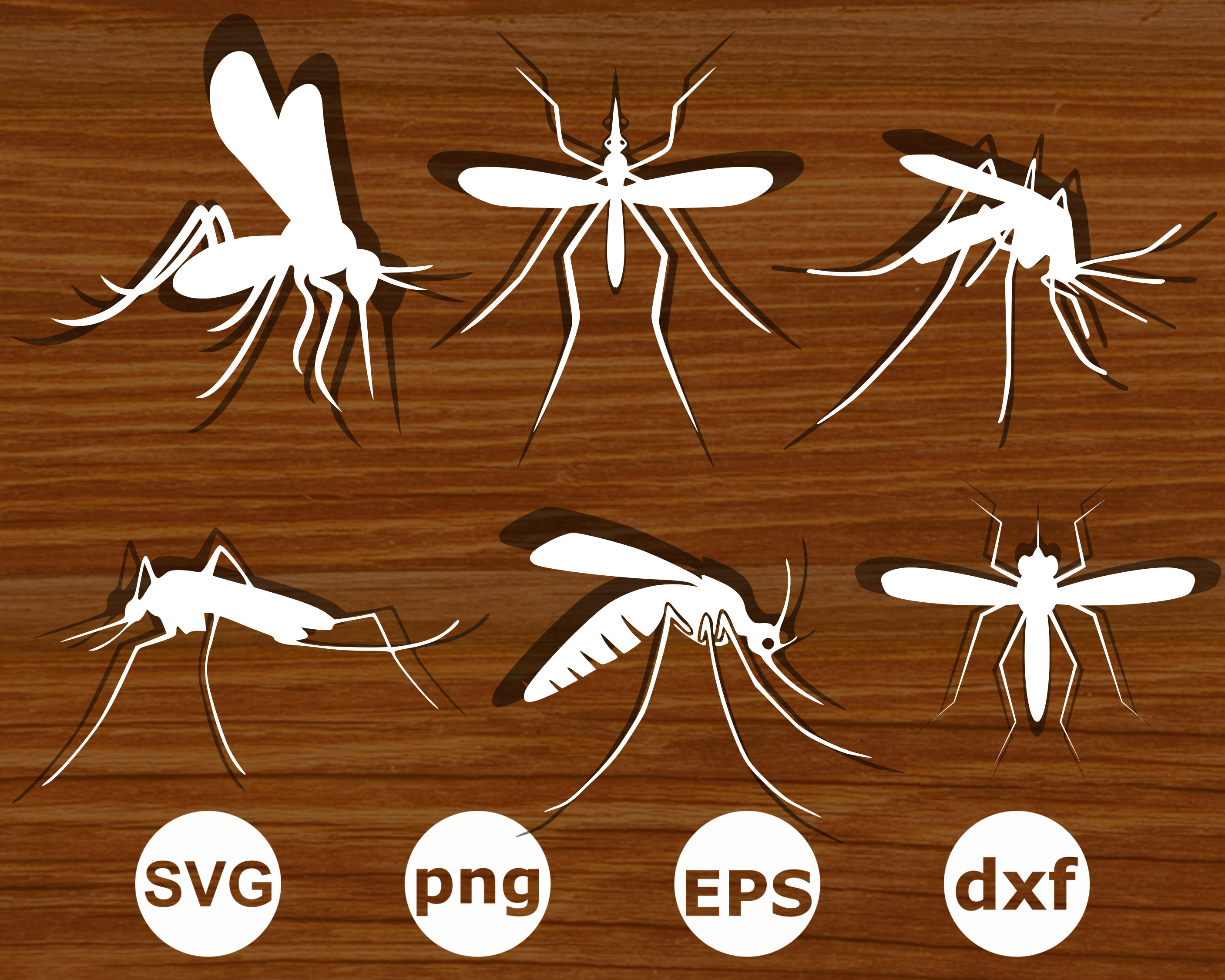 Zanzara svg . Zanzara silhouette . Clipart zanzara . File di taglio delle zanzare . Vettore di zanzara . Fascio svg di zanzare .