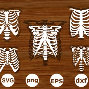 Human Rib cages svg. Rib cage svg. Rib cage silhouette. Rib cage cut files. Rib cage clipart. Rib cage vector.