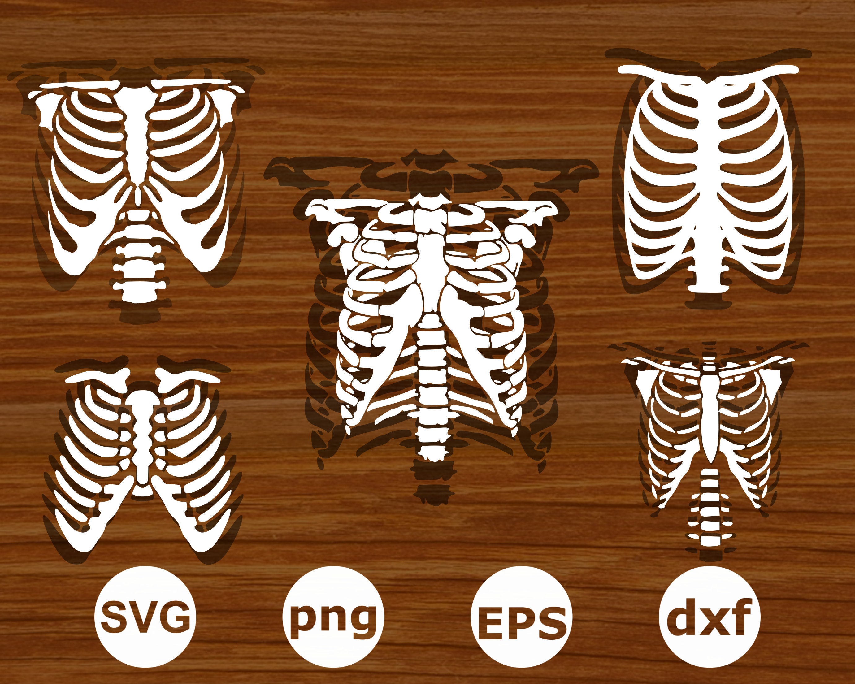 Rib Cage Outline - Etsy