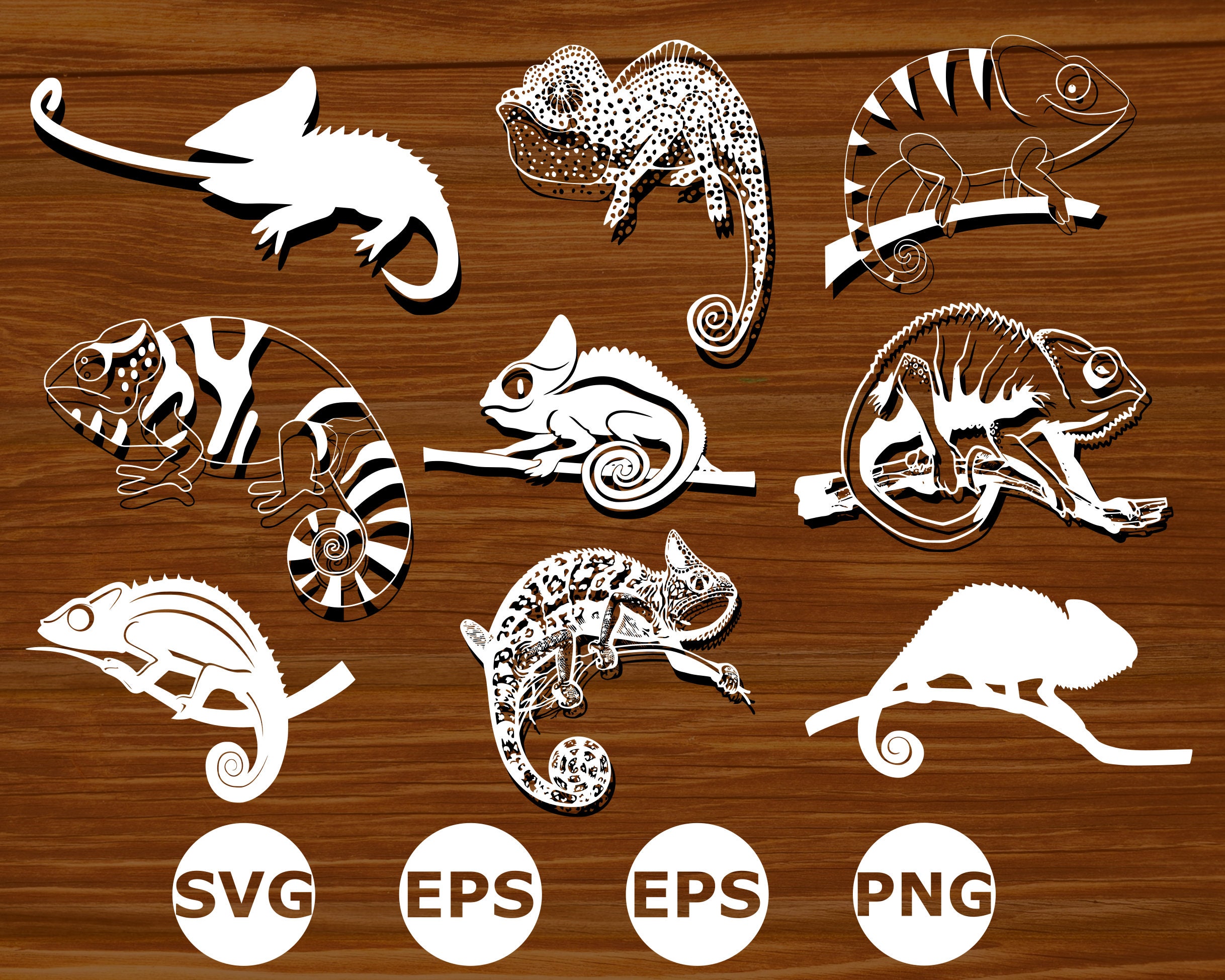 Chameleon Svg Chameleon Silhouette Chameleon Vector Etsy