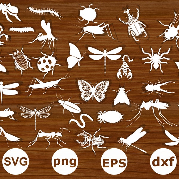 Insect svg. Insect svg bundle. Insect silhouette. Insect cut files. Insect clipart. Insect png