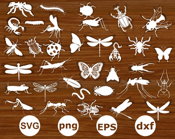 Insect File Insect Svg. Insect Svg Bundle. Insect Silhouette. Insect Cut Files ...