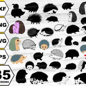 Ouriço svg . Silhueta de ouriço. Clipart de ouriço. Vetor ouriço. Arquivos de corte ouriço. Ouriço floral svg. Pacote ouriço svg