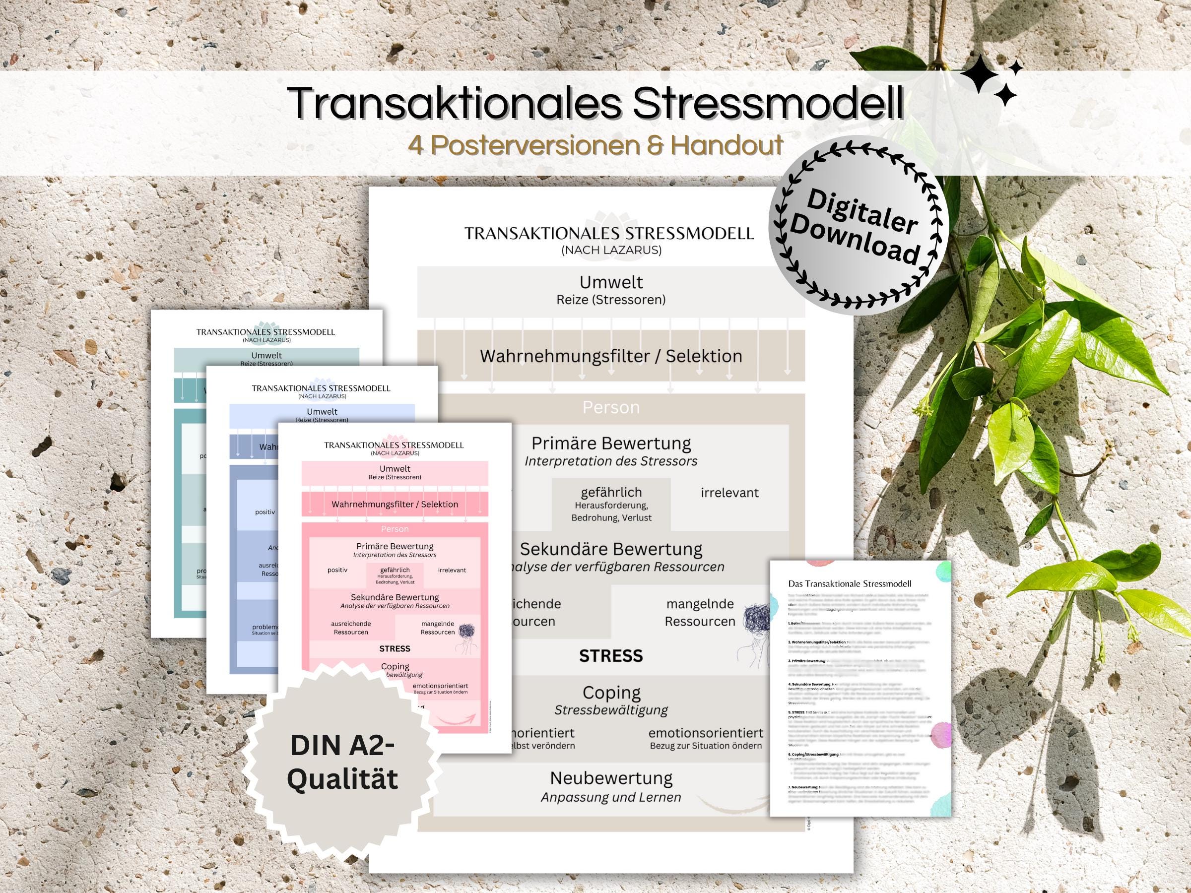 Transactional Stress Model According to Lazarus – Poster & Handout for ...