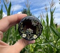 Grinder, Cute grinder, Cool grinder, Herb grinder, 4 piece grinder, Smoking accessories, Grinder girls, Metal grinder, Custom grinder product logo