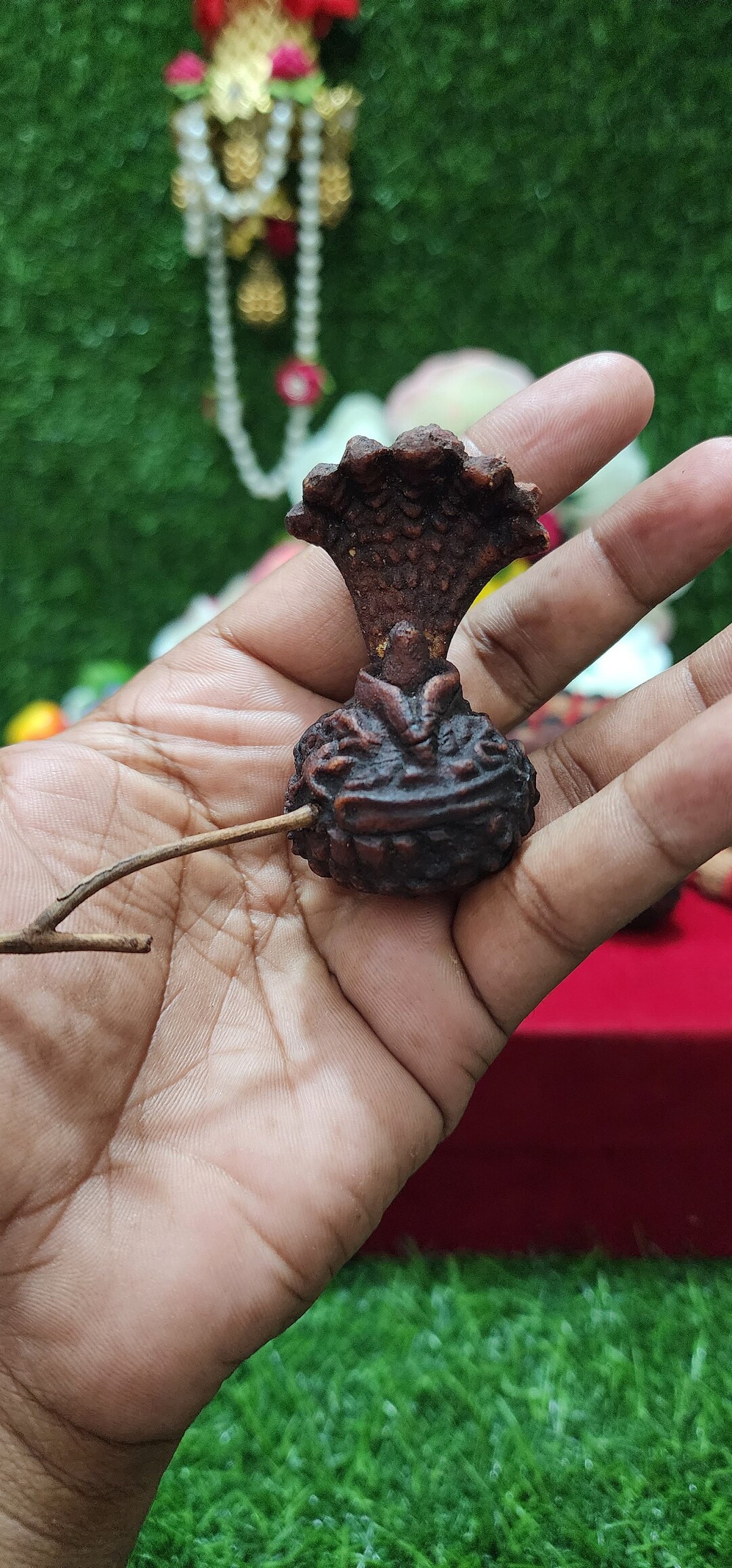 Natural Rudraksh With Shivling and Snake naag Rudraksh Nepali Etsy