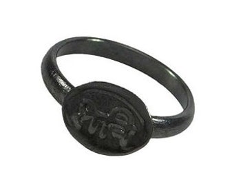 Ghode ki 2024 naal ki ring
