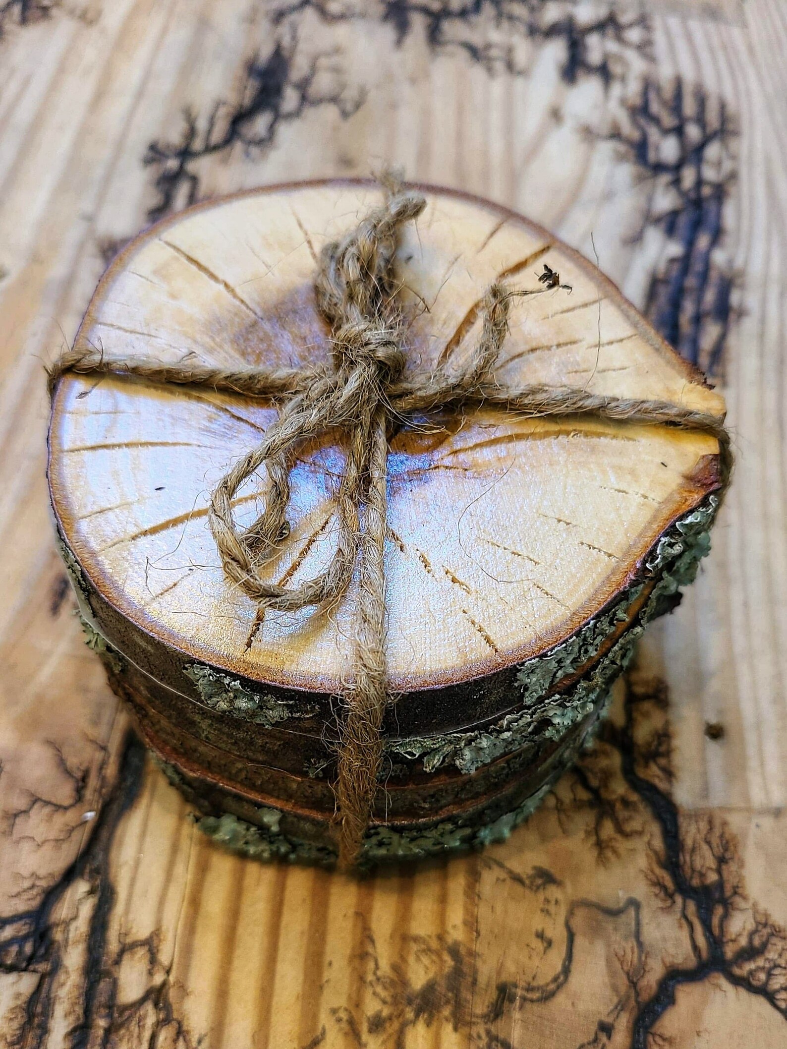 Wood Log Coasters Rustic Log Coasters Live Edge Coasters Etsy