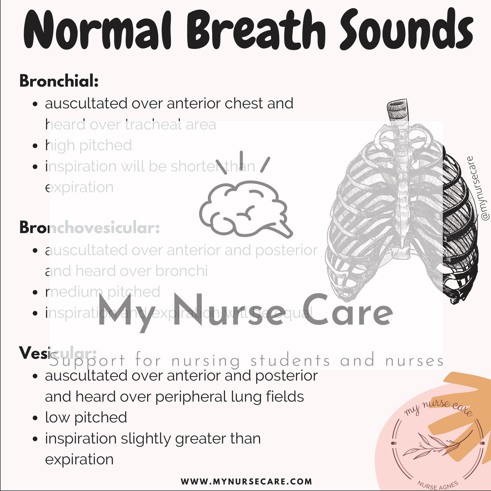 define three types of adventitious breath sounds define three types of adventitious breath sounds