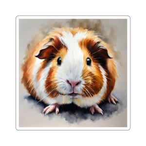 Guinea Pig Stickers, Guinea Pig Gift, Animal Sticker, Pet Sticker, Animal Lover Gift, Sticker Collection, Kids Gift, Vinyl Stickers