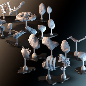 May include: A collection of 3D printed models on display stands. The models are various shapes and sizes, including a spaceship, a skull, and a variety of abstract shapes. The models are all white and are displayed on black stands. The word "STL" is visible in the top left corner of the image.