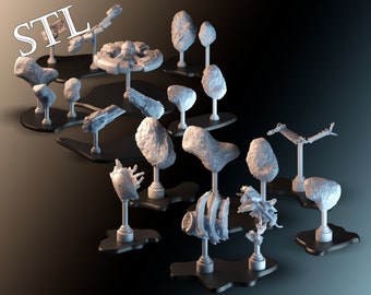 May include: A collection of 3D printed models on display stands. The models are various shapes and sizes, including a spaceship, a skull, and a variety of abstract shapes. The models are all white and are displayed on black stands. The word "STL" is visible in the top left corner of the image.