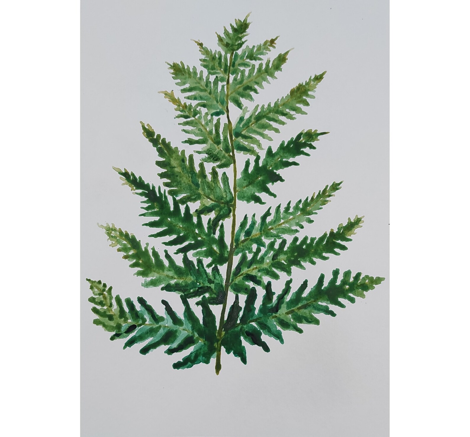 Fern Painting Green Leaves Art Original Watercolor Plant Art Etsy