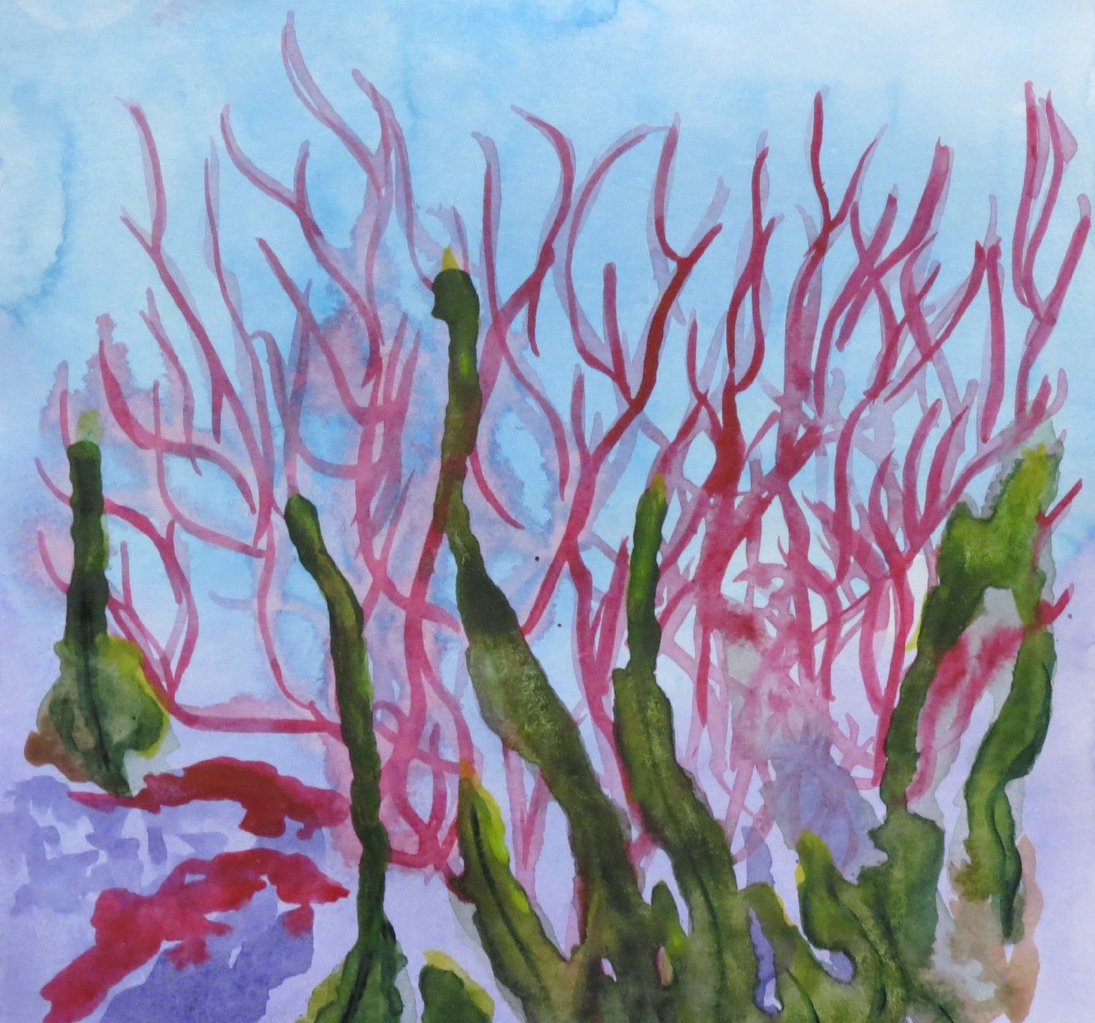 Seaweed Painting Sea Ocean Plants Watercolor Original Wall Art Etsy