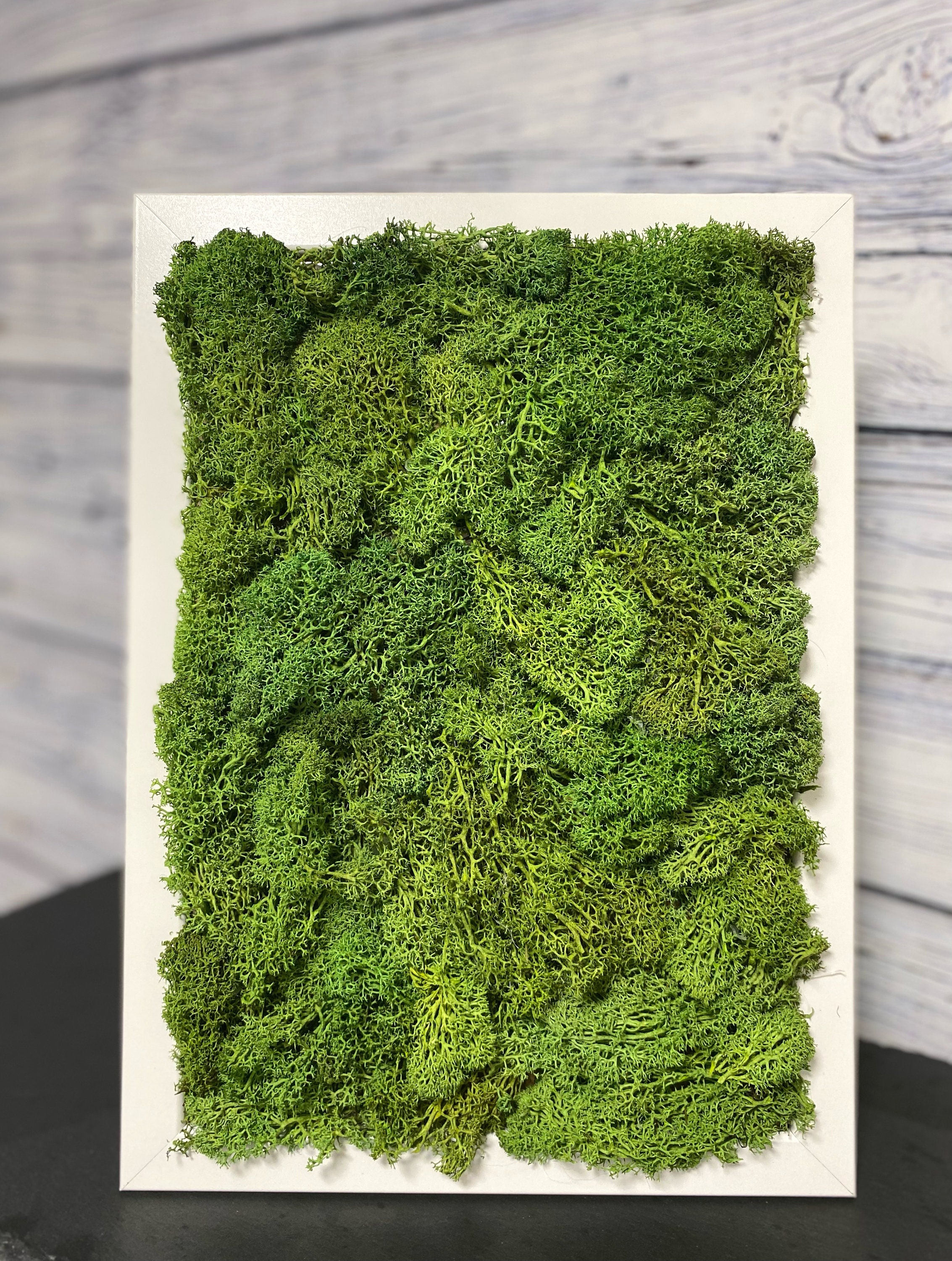 Preserved Moss Frame Wall Decor Real Moss Frame Evergreen Etsy